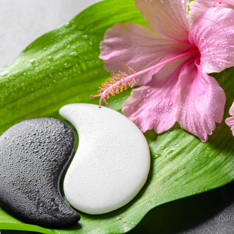 Curso Básico de Feng Shui