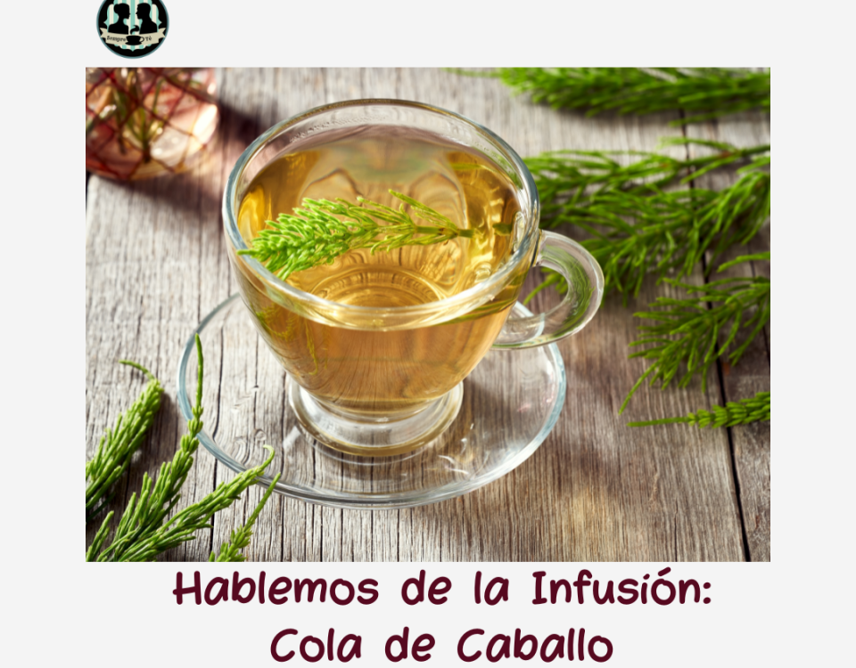 te cola de caballo