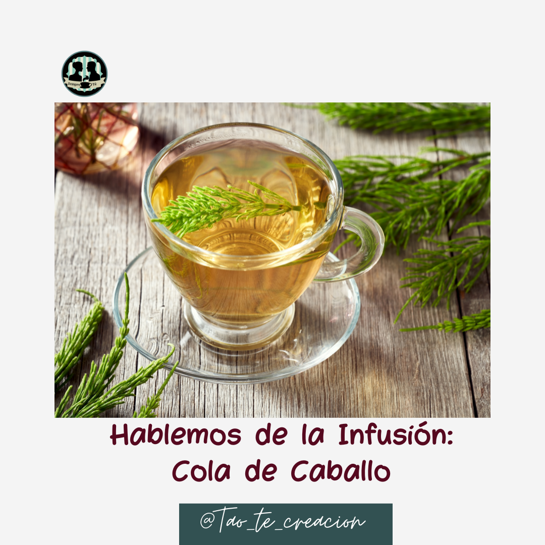 te cola de caballo