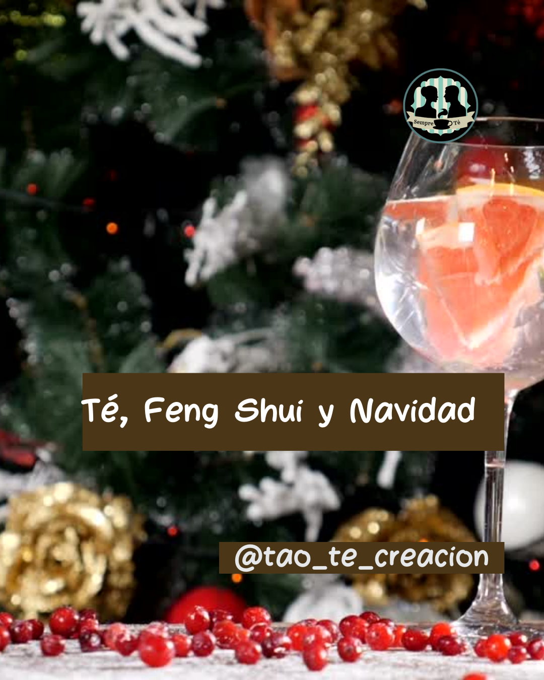Té Feng Shui y navidad