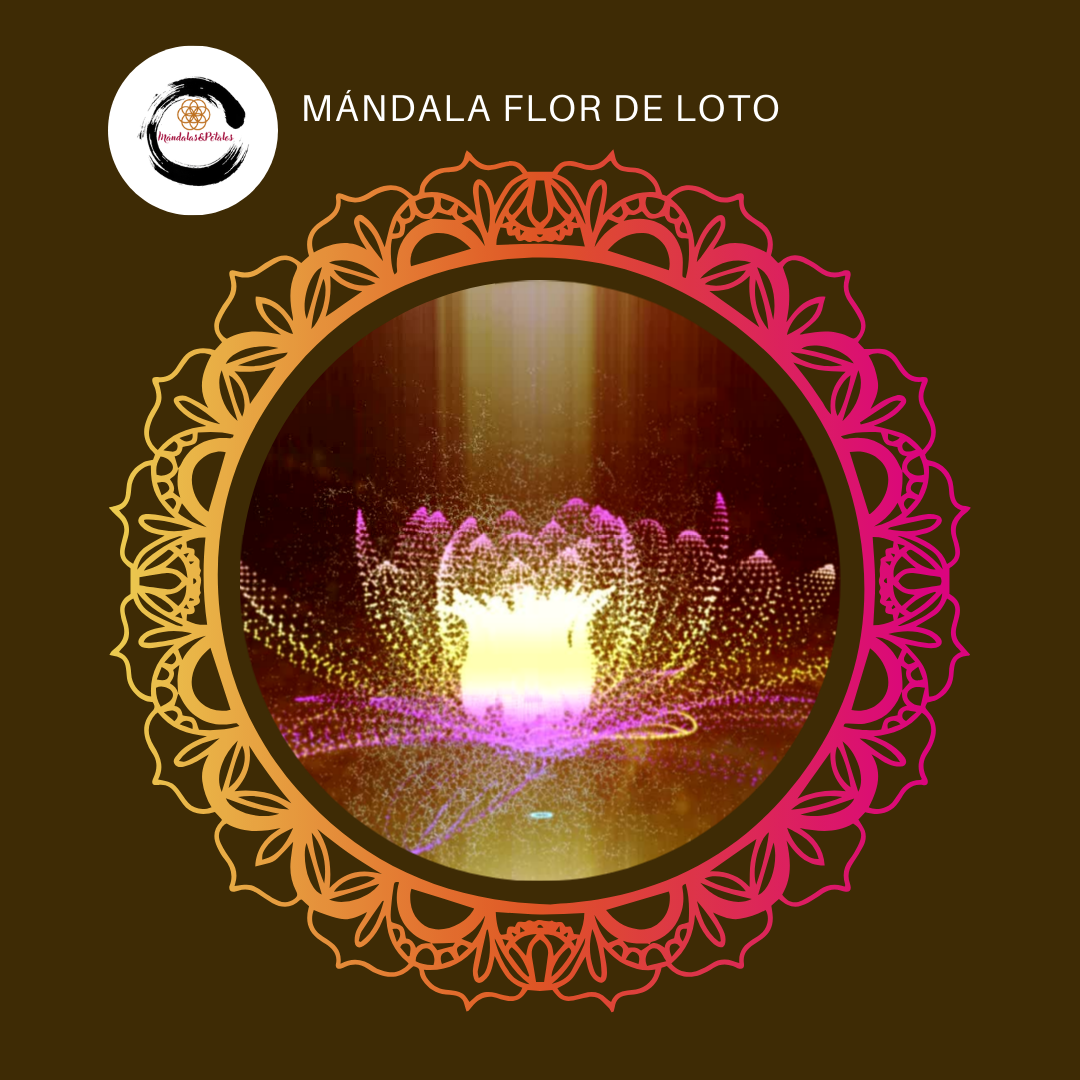 Flor de loo en los Mandalas