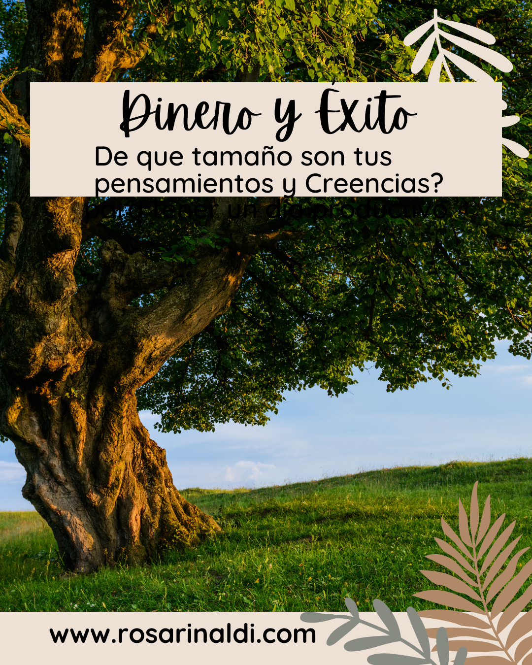 Dinero y Exito Coaching al día