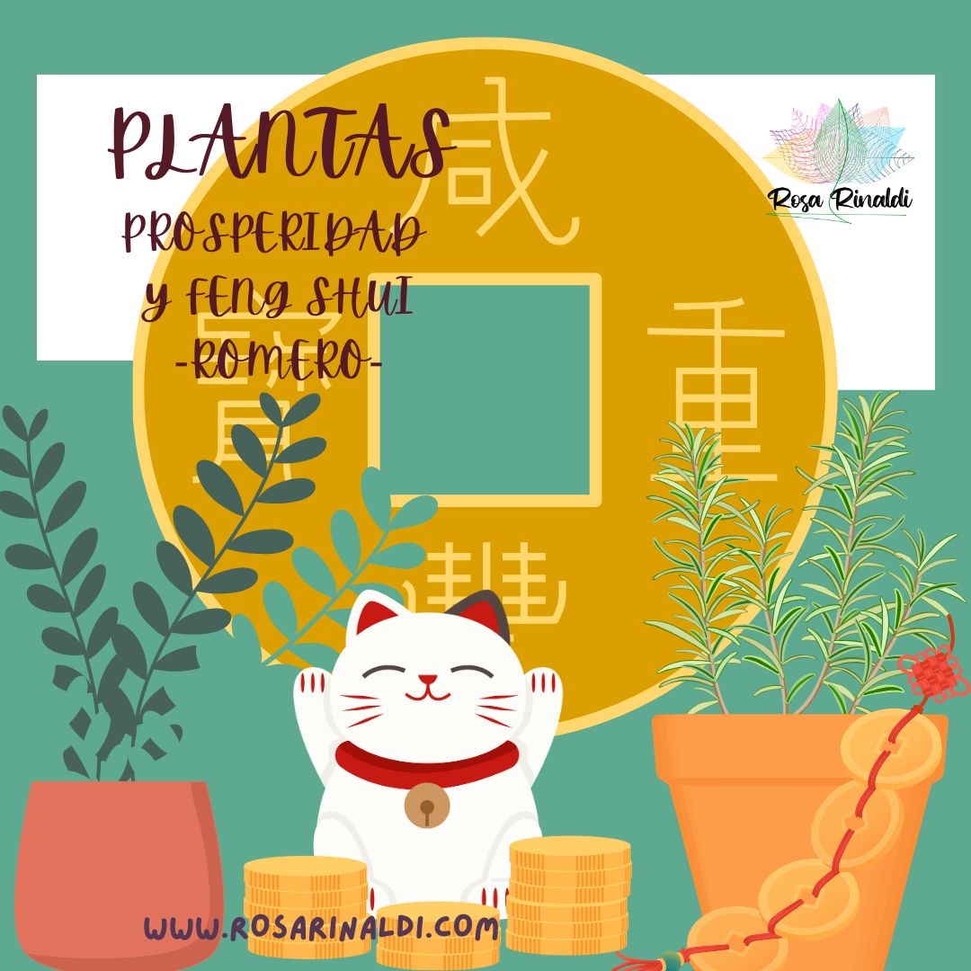PLANTAS Y PROSPERIDAD Y FENG SHUI